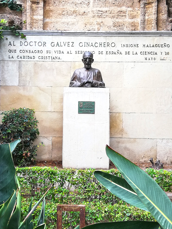 Doctor Gálvez Ginachero